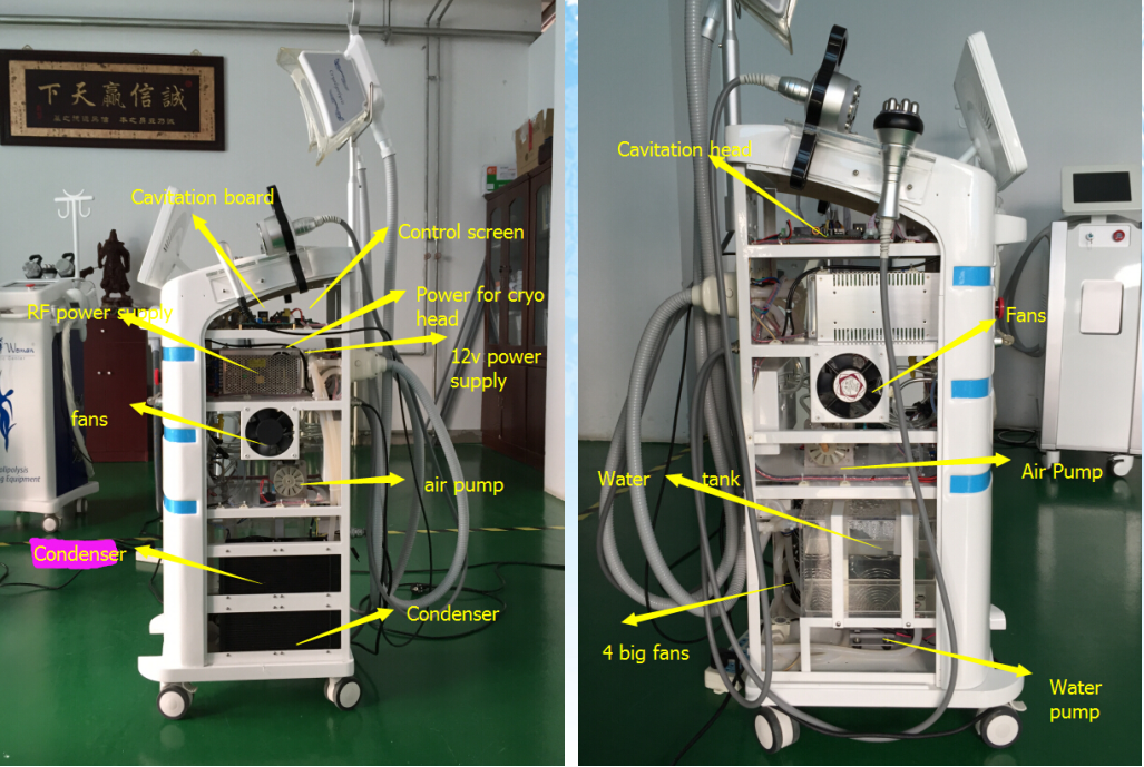 Cryolipolysis For Professional Body Slimming Machine Cryolipolysis For Professional Body Slimming Machine